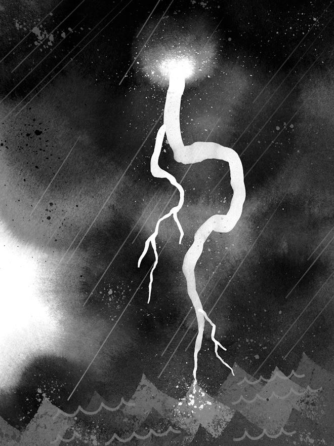 Иллюстрация к книге — Дикий Робот [i_008.jpg]