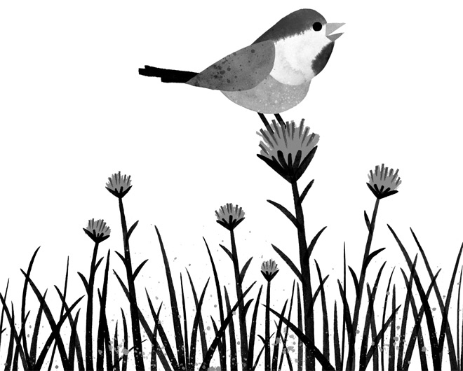 Иллюстрация к книге — Дикий Робот [i_015.jpg]