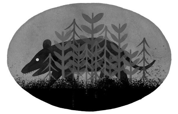 Иллюстрация к книге — Дикий Робот [i_019.jpg]