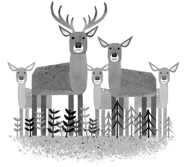 Иллюстрация к книге — Дикий Робот [i_025.jpg]