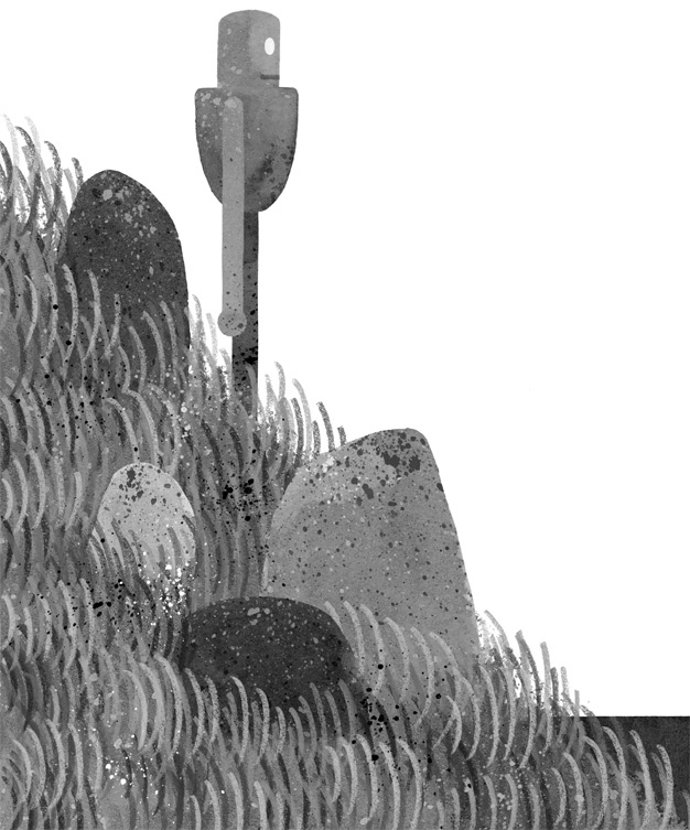 Иллюстрация к книге — Дикий Робот [i_030.jpg]