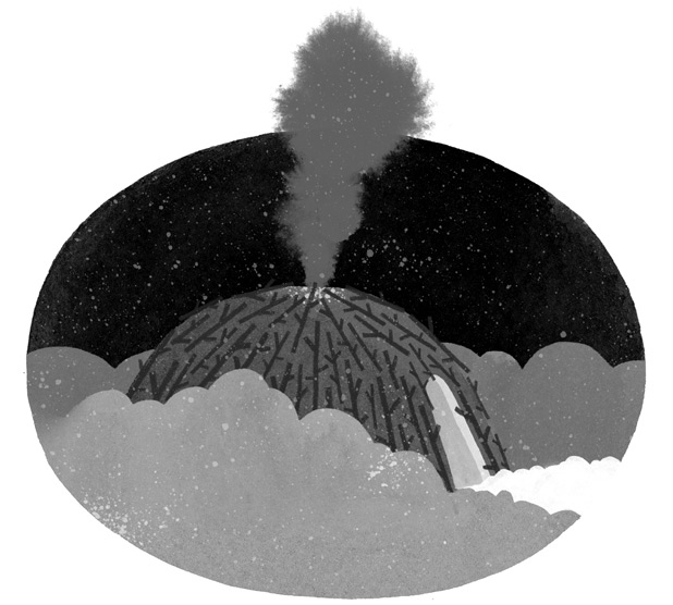 Иллюстрация к книге — Дикий Робот [i_046.jpg]