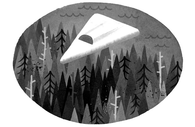 Иллюстрация к книге — Дикий Робот [i_057.jpg]