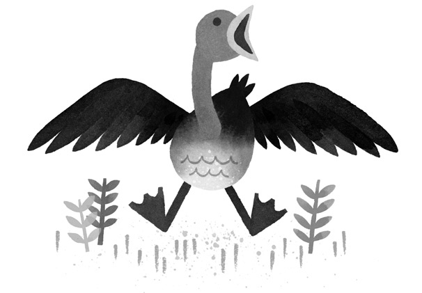 Иллюстрация к книге — Дикий Робот [i_059.jpg]