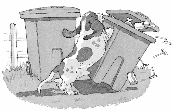 Иллюстрация к книге — Встреча с оборотнями [i_011.jpg]