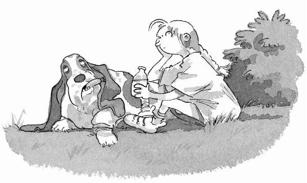 Иллюстрация к книге — Встреча с оборотнями [i_013.jpg]