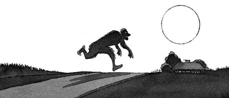 Иллюстрация к книге — Встреча с оборотнями [i_018.jpg]