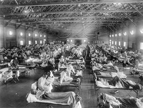 Иллюстрация к книге — Выжить в пандемию [i_003.jpg]