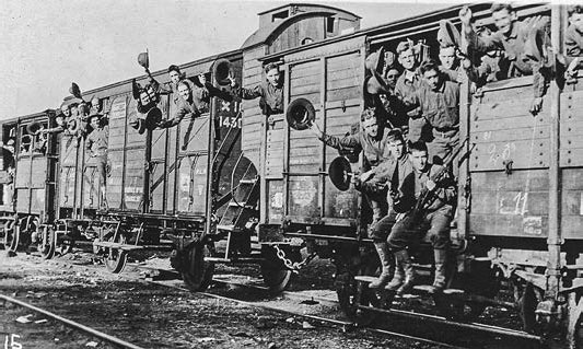 Иллюстрация к книге — Выжить в пандемию [i_005.jpg]