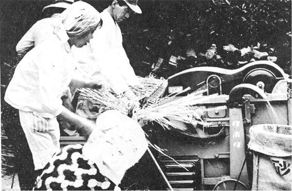 Иллюстрация к книге — Краткая история Японии [i_071.jpg]