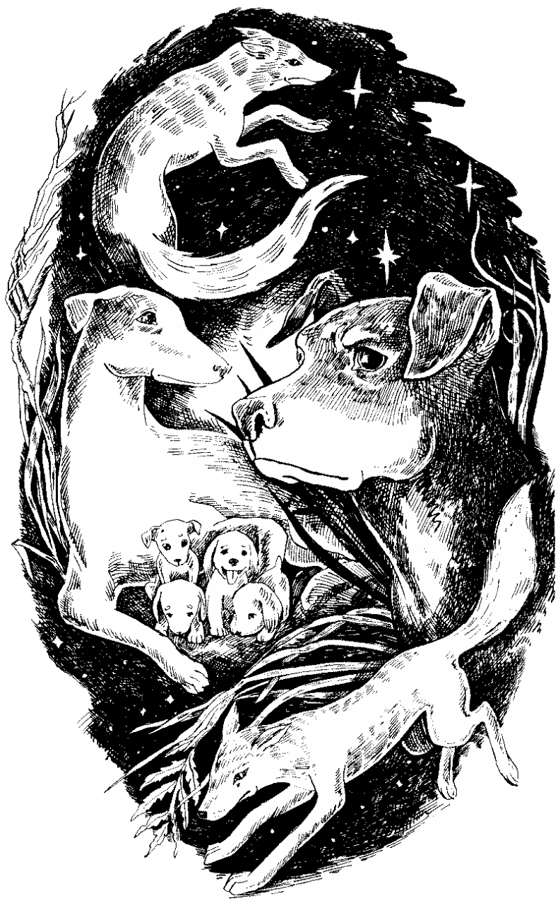 Иллюстрация к книге — Долгая ночь [i_001.jpg]