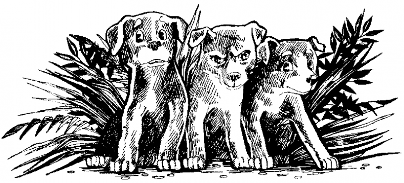 Иллюстрация к книге — Долгая ночь [i_003.jpg]