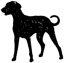 Иллюстрация к книге — Долгая ночь [i_004.jpg]