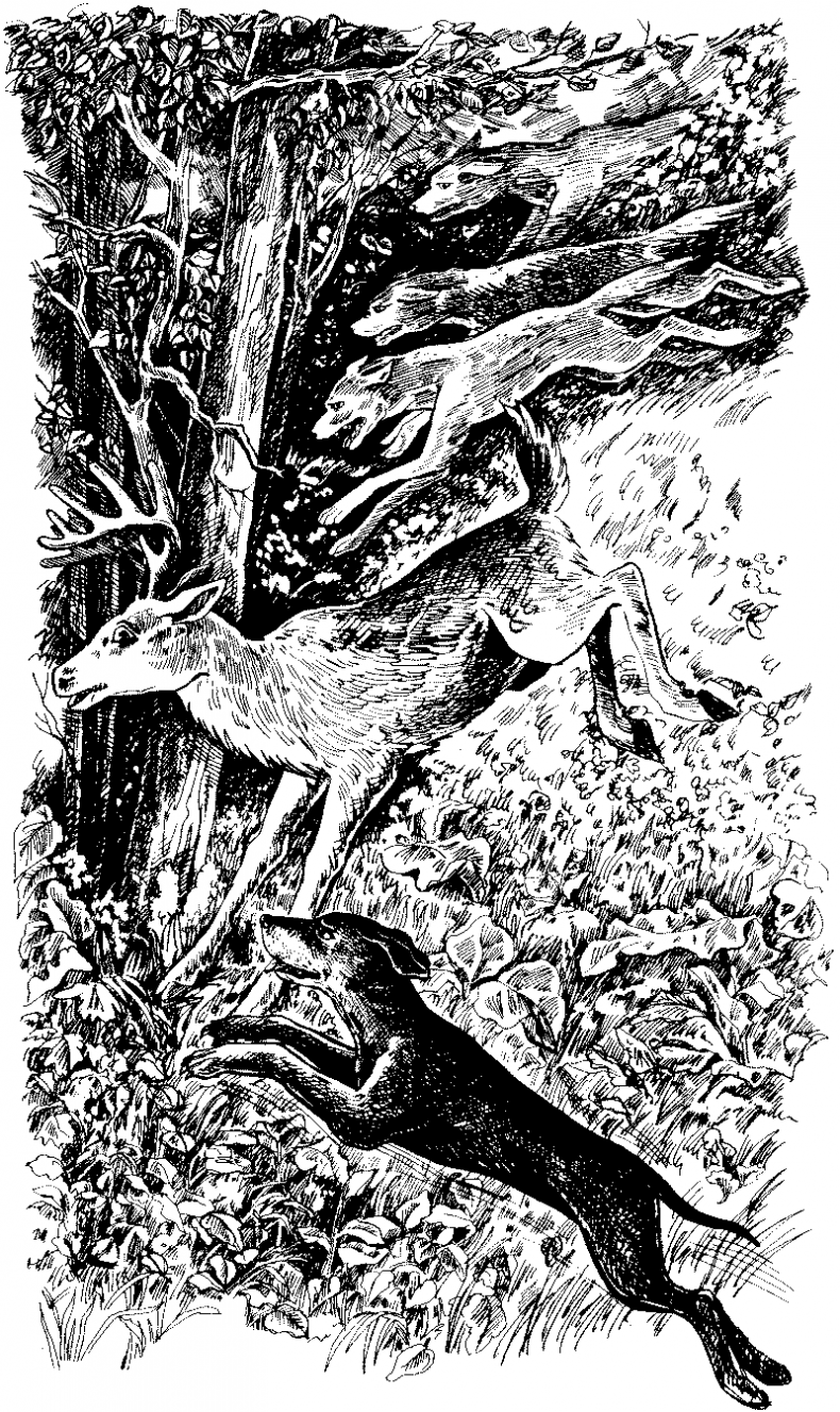 Иллюстрация к книге — Долгая ночь [i_008.jpg]