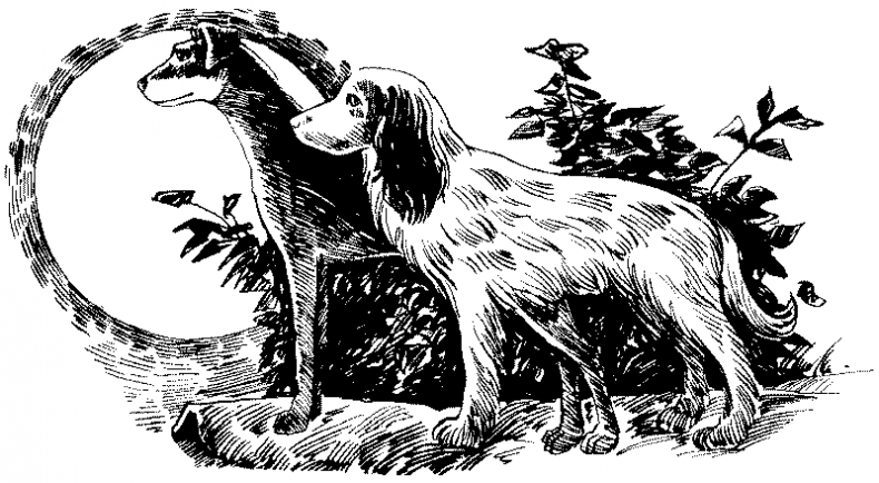 Иллюстрация к книге — Долгая ночь [i_009.jpg]