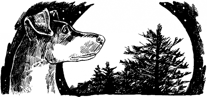 Иллюстрация к книге — Долгая ночь [i_010.jpg]