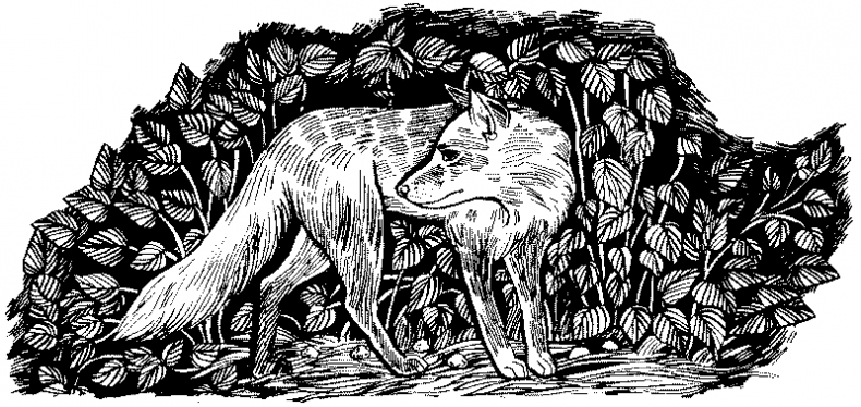 Иллюстрация к книге — Долгая ночь [i_012.jpg]