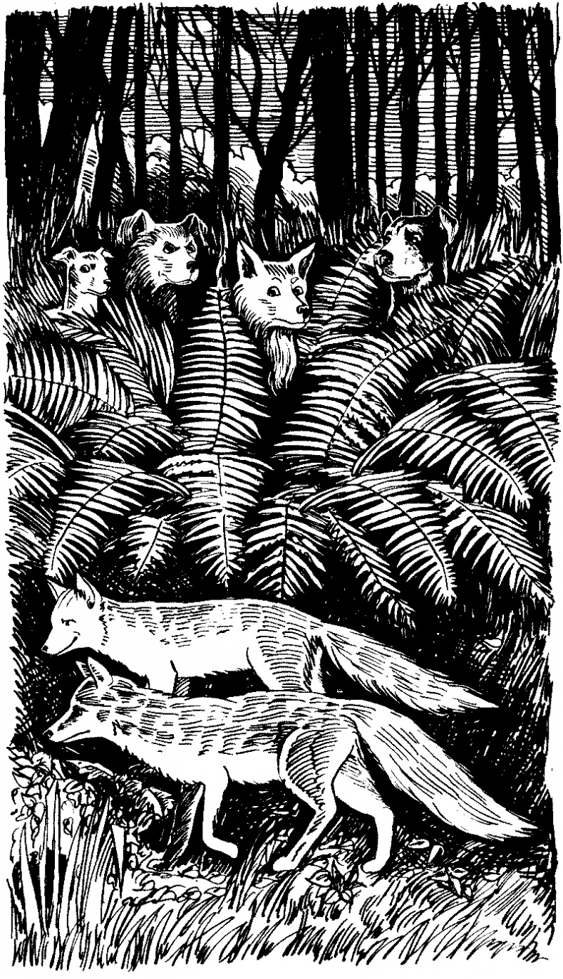 Иллюстрация к книге — Долгая ночь [i_013.jpg]