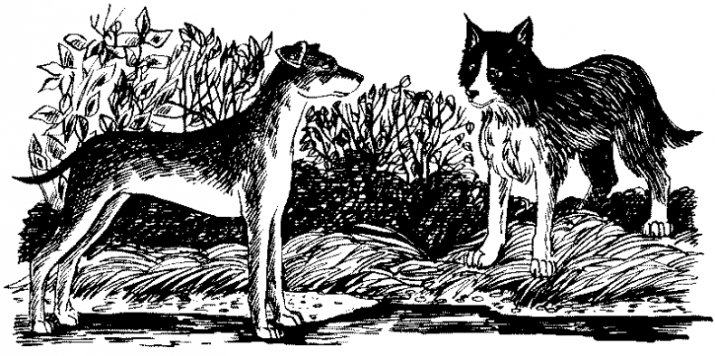 Иллюстрация к книге — Долгая ночь [i_021.jpg]