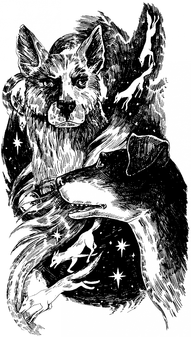 Иллюстрация к книге — Долгая ночь [i_022.jpg]