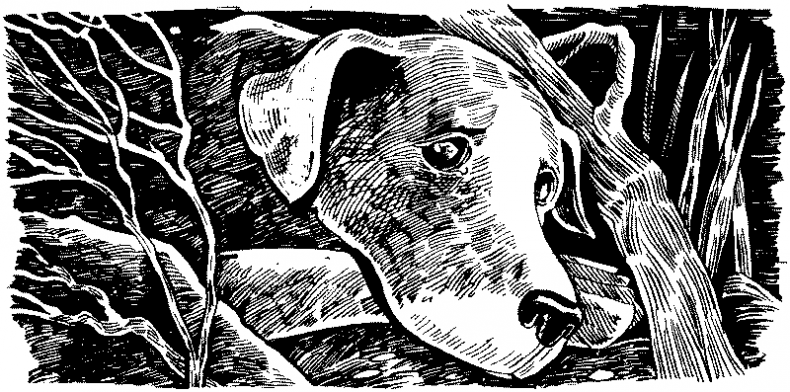 Иллюстрация к книге — Долгая ночь [i_023.jpg]