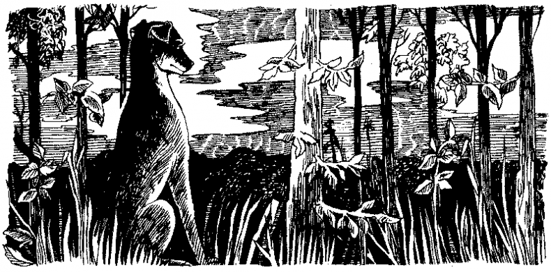 Иллюстрация к книге — Долгая ночь [i_025.jpg]