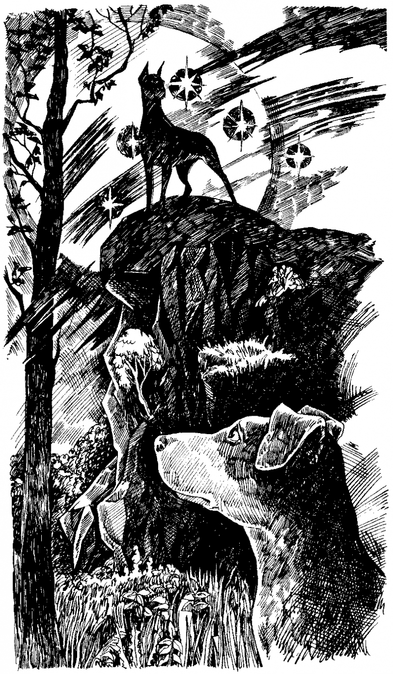 Иллюстрация к книге — Долгая ночь [i_026.jpg]