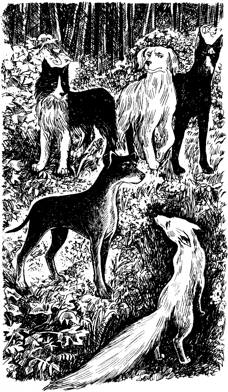 Иллюстрация к книге — Долгая ночь [i_030.jpg]