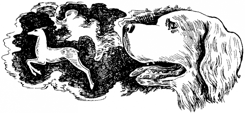 Иллюстрация к книге — Долгая ночь [i_032.jpg]