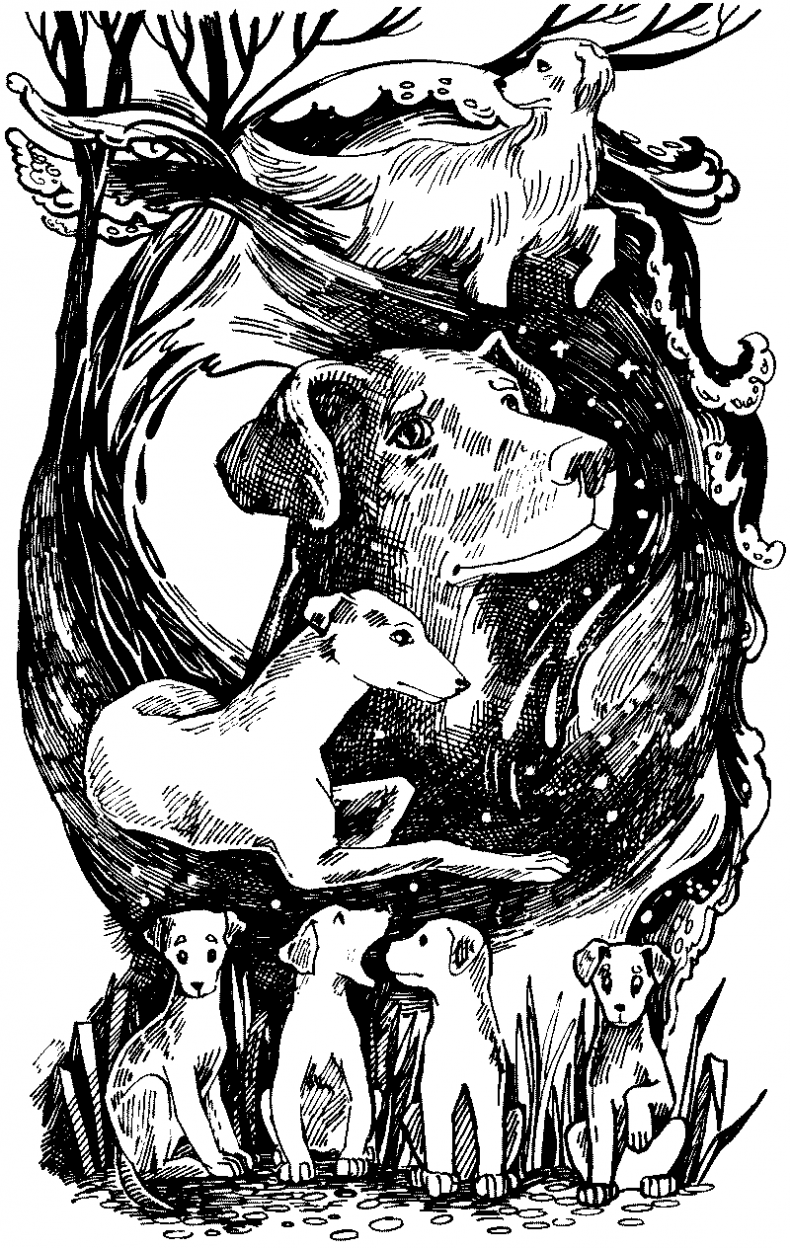 Иллюстрация к книге — Тени сгущаются [i_001.jpg]