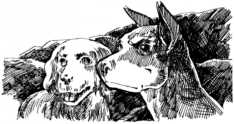 Иллюстрация к книге — Тени сгущаются [i_005.jpg]