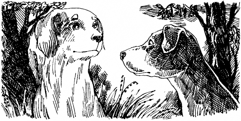 Иллюстрация к книге — Тени сгущаются [i_006.jpg]