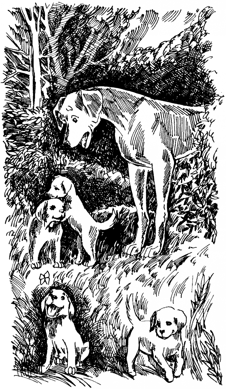 Иллюстрация к книге — Тени сгущаются [i_007.jpg]