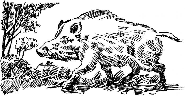 Иллюстрация к книге — Тени сгущаются [i_009.jpg]