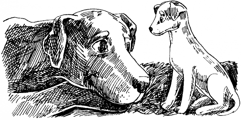 Иллюстрация к книге — Тени сгущаются [i_012.jpg]