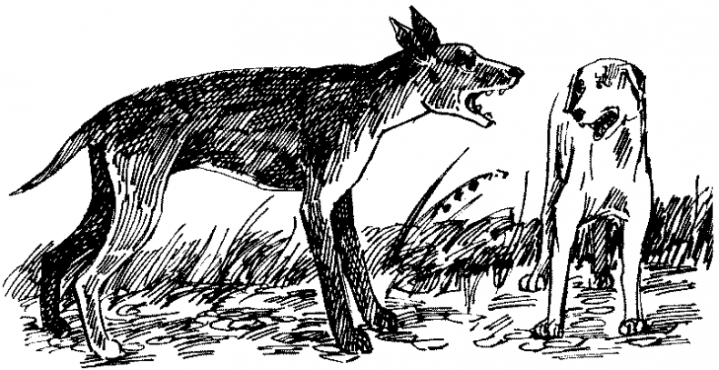 Иллюстрация к книге — Тени сгущаются [i_015.jpg]