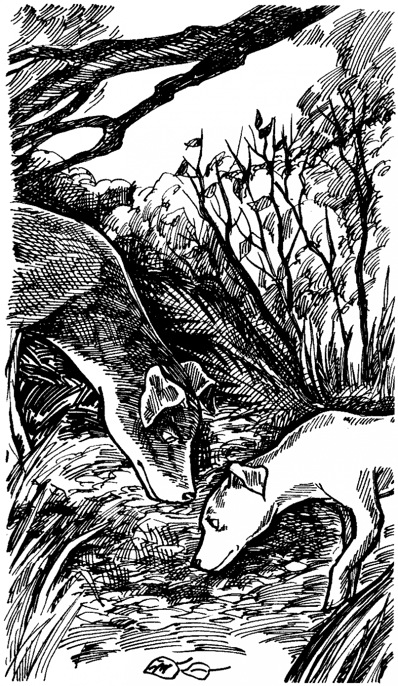 Иллюстрация к книге — Тени сгущаются [i_018.jpg]