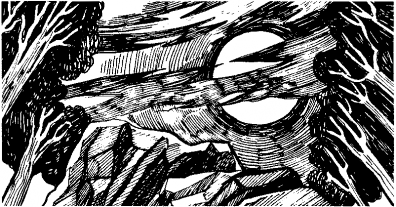 Иллюстрация к книге — Тени сгущаются [i_020.jpg]