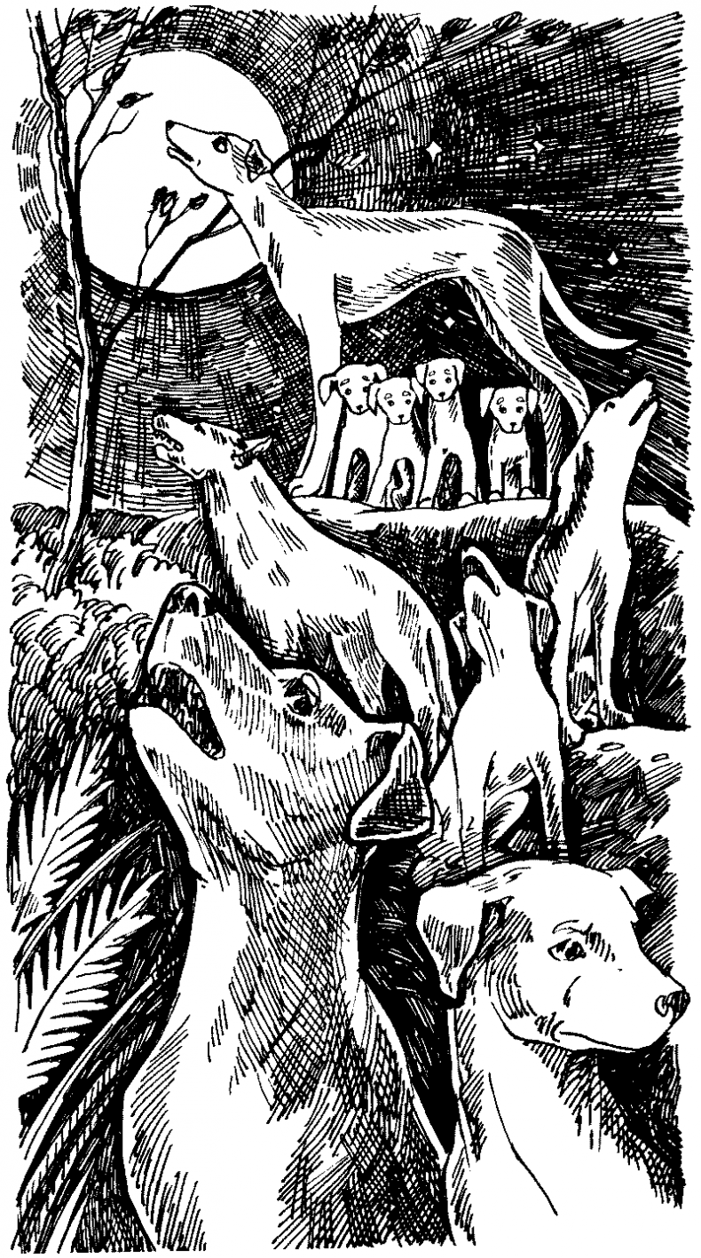 Иллюстрация к книге — Тени сгущаются [i_021.jpg]