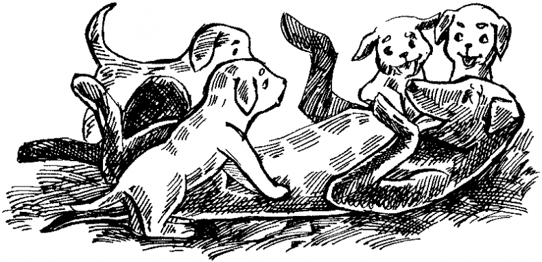 Иллюстрация к книге — Тени сгущаются [i_022.jpg]