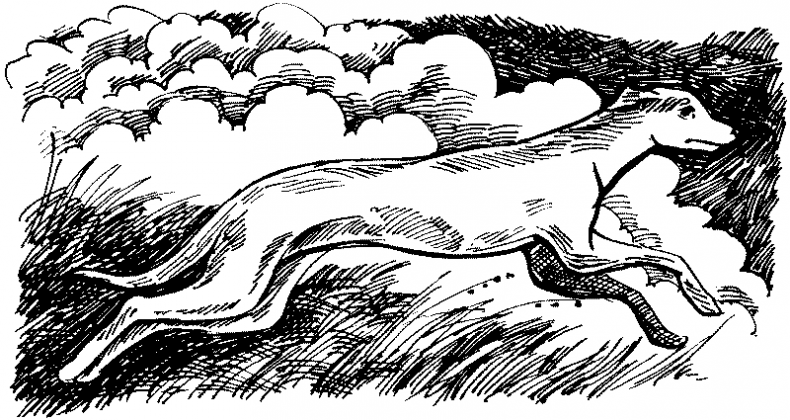 Иллюстрация к книге — Тени сгущаются [i_023.jpg]