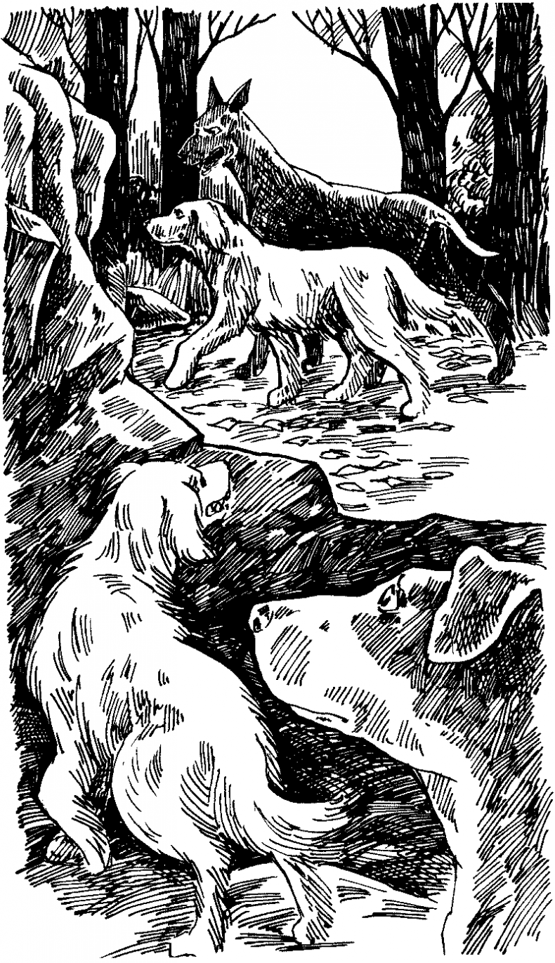 Иллюстрация к книге — Тени сгущаются [i_024.jpg]