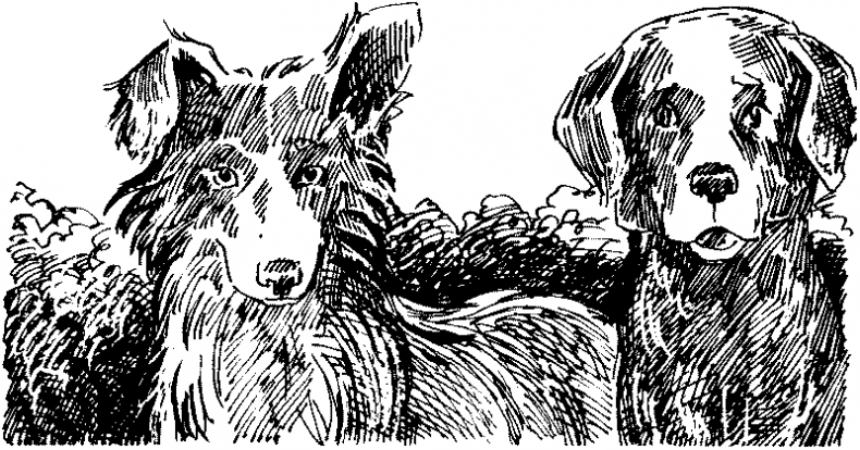 Иллюстрация к книге — Тени сгущаются [i_025.jpg]