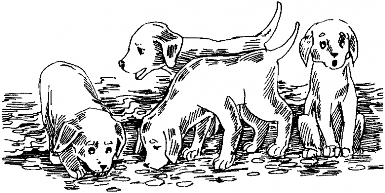 Иллюстрация к книге — Тени сгущаются [i_030.jpg]