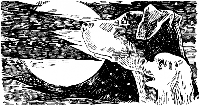 Иллюстрация к книге — Тени сгущаются [i_033.jpg]