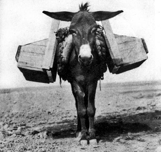 Иллюстрация к книге — Расскажи мне, как живешь [_11.jpg]