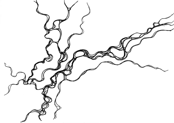 Иллюстрация к книге — Нейрографика. Алгоритм снятия ограничений [i_020.jpg]