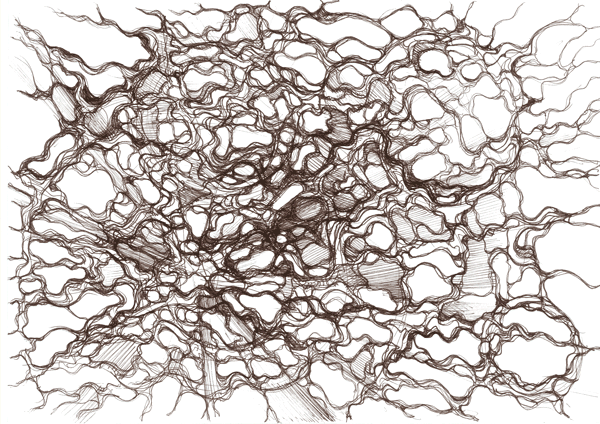 Иллюстрация к книге — Нейрографика. Алгоритм снятия ограничений [i_032.jpg]