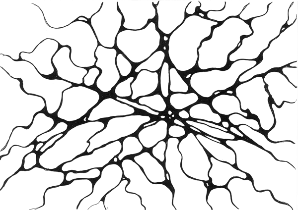 Иллюстрация к книге — Нейрографика. Алгоритм снятия ограничений [i_040.jpg]