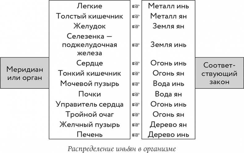 Иллюстрация к книге — О чем говорит боль [i_023.jpg]